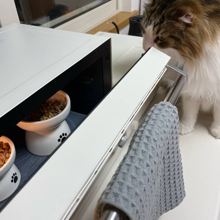 Ff1c7ca3 a104 4780 b38e 616bfd5d669e 1715024524896