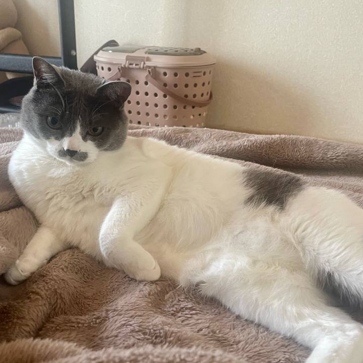 Ff1c8aca 4a58 4367 8a74 8f1b82b4cf65 1682985787123