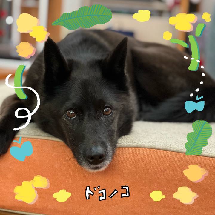 Ff1c8cd7 e4ff 4d02 ac3c da9ff41d3ecc 1744675741812