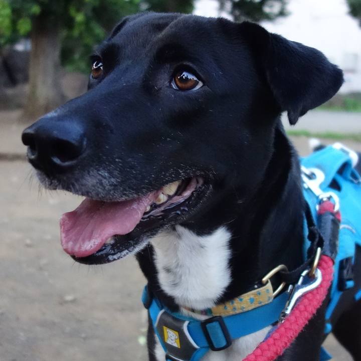 Ff1c91e8 77c9 4fa1 a70f 7b7e4ffe1761 1623236050467