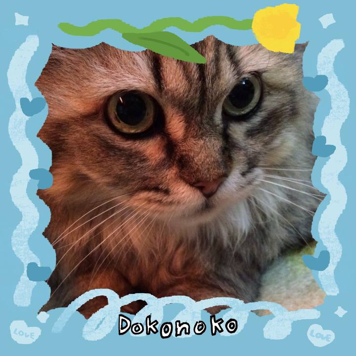 Ff1c93b0 ada7 41bf b05f e8c8d79420c9 1772086675077