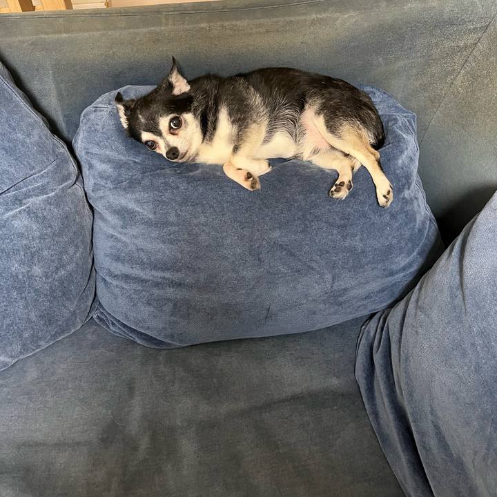 Ff1ca48c b8f3 45b4 89b9 3875763db3ef 1753942888156