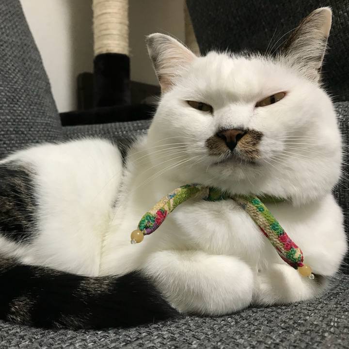 Ff1cbab4 720a 43df b4e0 7be44fc02a42 1508553437992