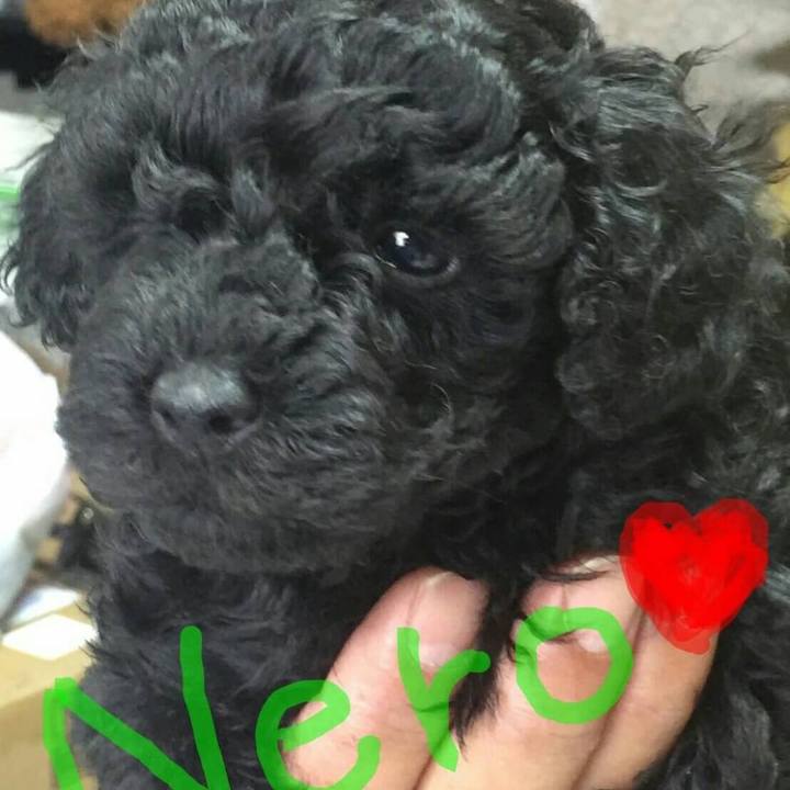 Ff1cc376 3e85 4322 afa1 cc7c960c8096 1629532669217