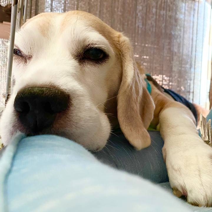 Ff1cfe71 c9d2 450c 8042 4dfe2617ef2c 1659497559922