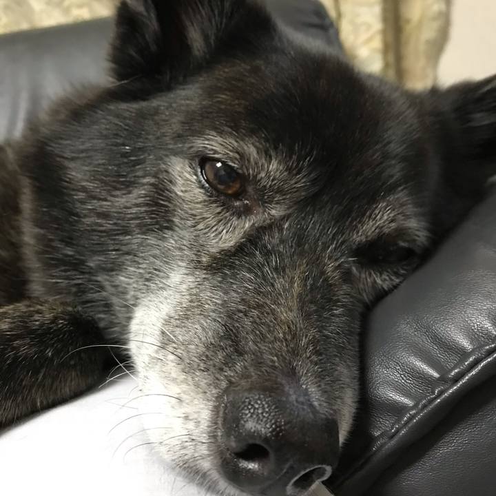 Ff1d0499 9ba5 4a0b b5e7 cad37f254d57 1561553932672