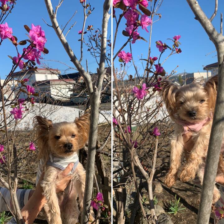 Ff1d8484 1944 4227 bcea 985688525641 1618912530911