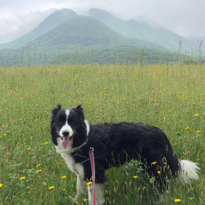 Ff1df47b df8a 48e0 b268 95b56854f4c9 1559547483243