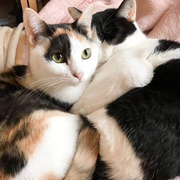 Ff1e13cc 0d37 4f5d 828d d961221c2713 1511963987137