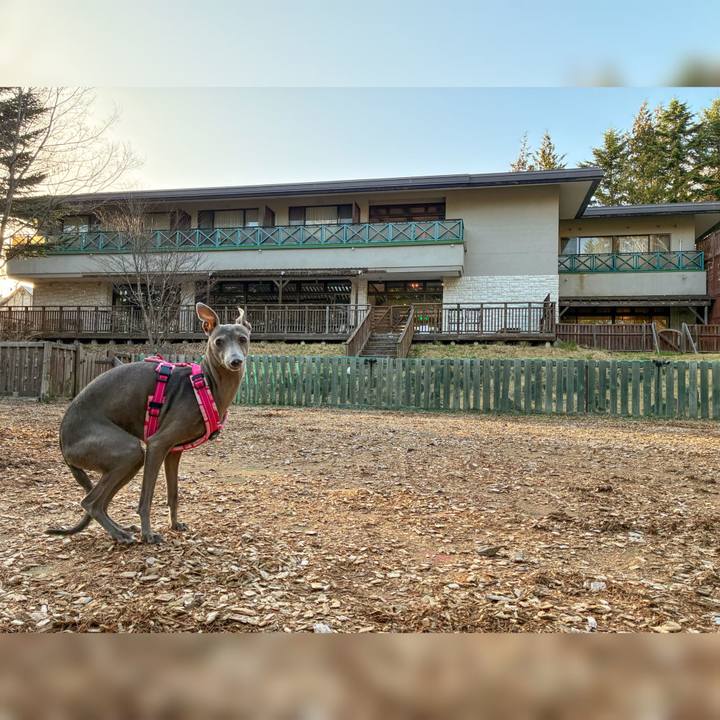 Ff1e5114 5d57 4568 a13b 59cc66fd4916 1776933353104