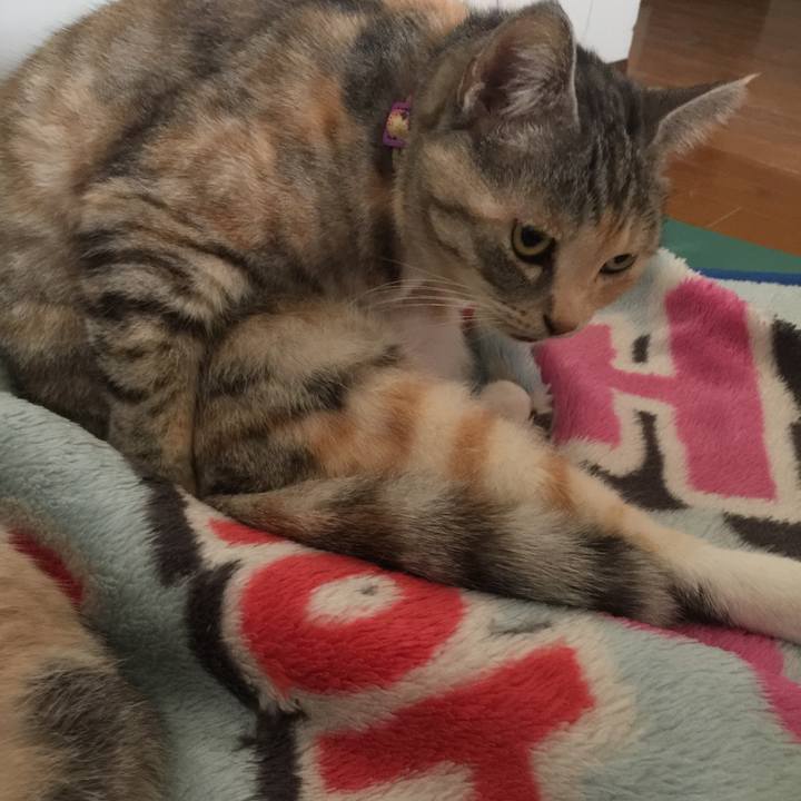 Ff1e7757 1539 4f77 bbfc 1b4f728d7321 1547603095420