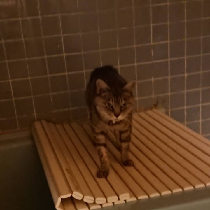 Ff1e7cdb dc9d 4671 85ed 1ffae3b3a13f 1570786928725