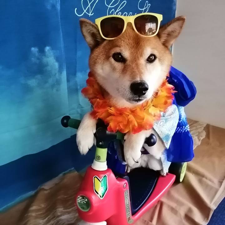 Ff1e8a76 34f8 4ef2 8572 d77135e15d7a 1689597179039