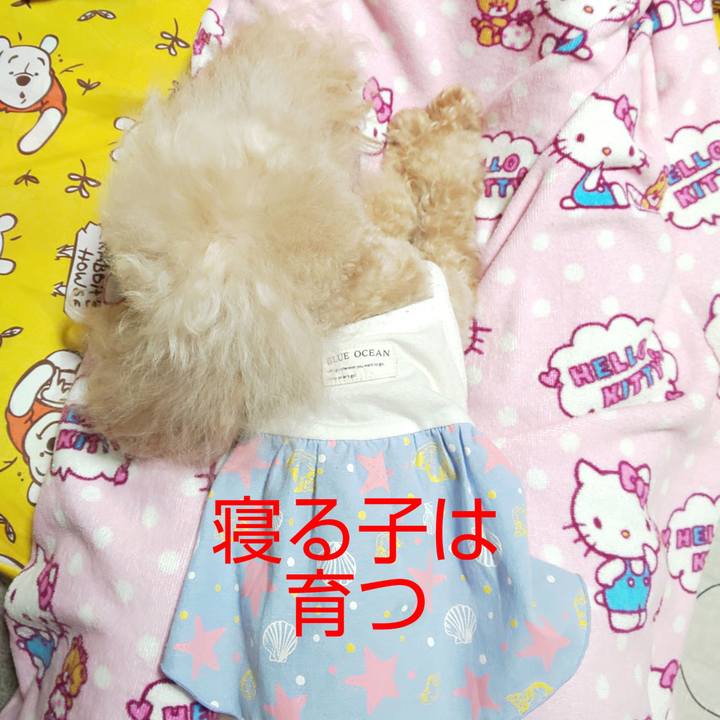 Ff1e8f5d c1c9 49be a632 0be7a960520a 1593754270467