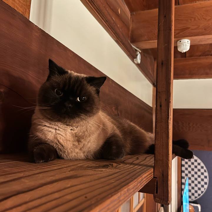 Ff1e95bf ab01 48d0 8740 06bcadbe18c7 1671621832170