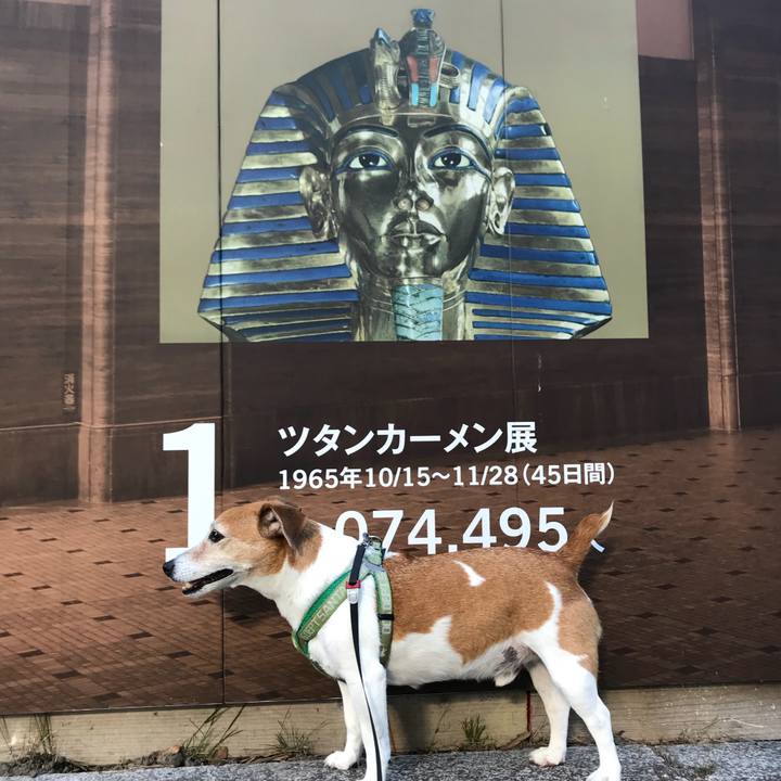 Ff1eab45 f2e4 4efb 8a12 4ec9b4c15c56 1528883159611