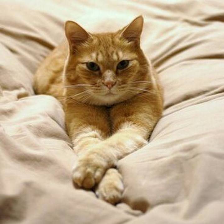 Ff1ee4d9 65f1 4609 830c a479ec729188 1525196870762