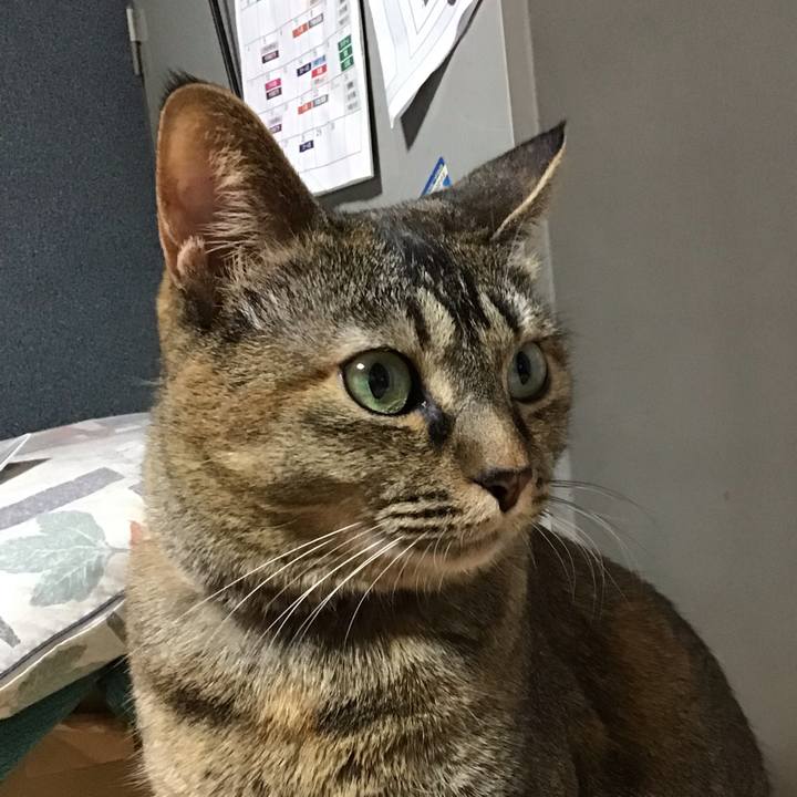 Ff1efb34 3afa 4b46 9dc5 eba5eafba0b0 1671887936350