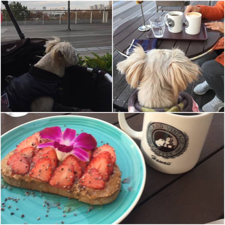 Ff1f04cf 6e86 4194 886c 59093f8880fd 1544267537109