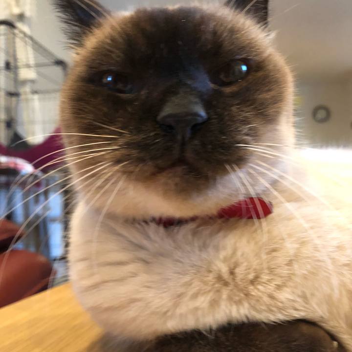 Ff1f276e 6772 42a3 89bf b9faa7dbecc9 1548060996375