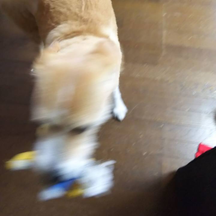 Ff1f4655 4db7 4ed7 8913 40648bc3a1c2 1551592399586