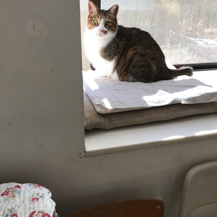 Ff1f4f06 b68a 4dfe a247 7de0681e41ee 1549245422983