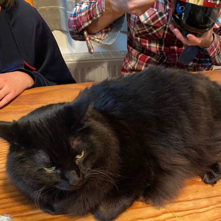 Ff1f8a6c 2b06 4db8 8416 a9f659bcee83 1607093262489