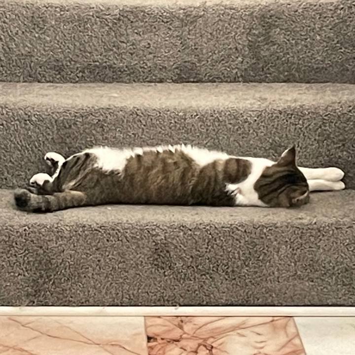 Ff1f9172 39ba 4dc7 8245 69d82d8e49de 1695600752623