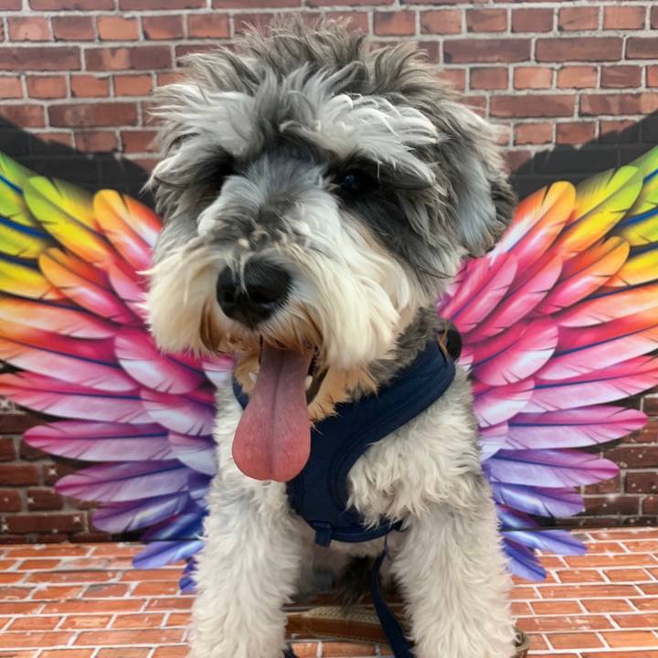 Ff1fb045 65e9 45ac badd e806c63dcdd1 1588163668809