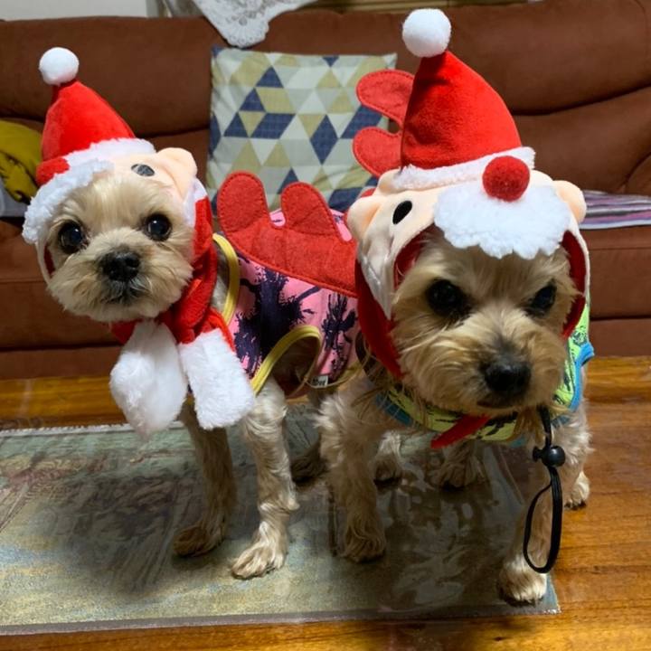 Ff201c18 ffca 410a 92df 30fdb526df45 1608801421190