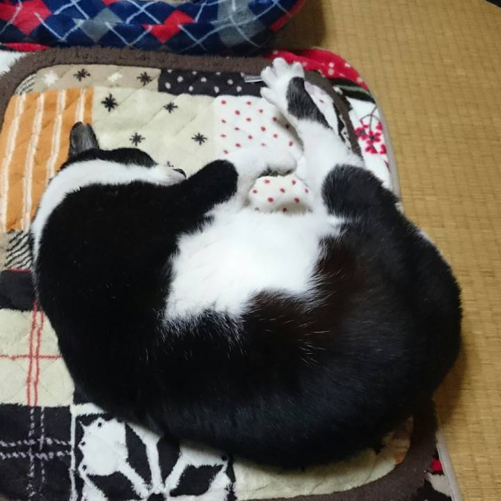 Ff204a1d ab2e 429d be08 3bb430f9ce94 1512228188570