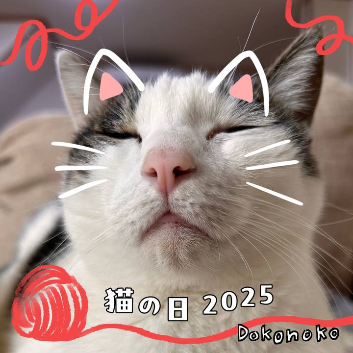 Ff208ca8 a8fb 44d9 96fc bd2e33429be9 1740115374228