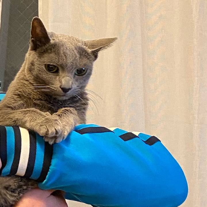 Ff209348 2aa1 4562 8f7e e7f14af09ce9 1611982238910