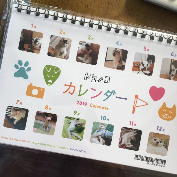 Ff20ac2a 9e64 4e9a 99fb e878ee1e303f 1546060439702