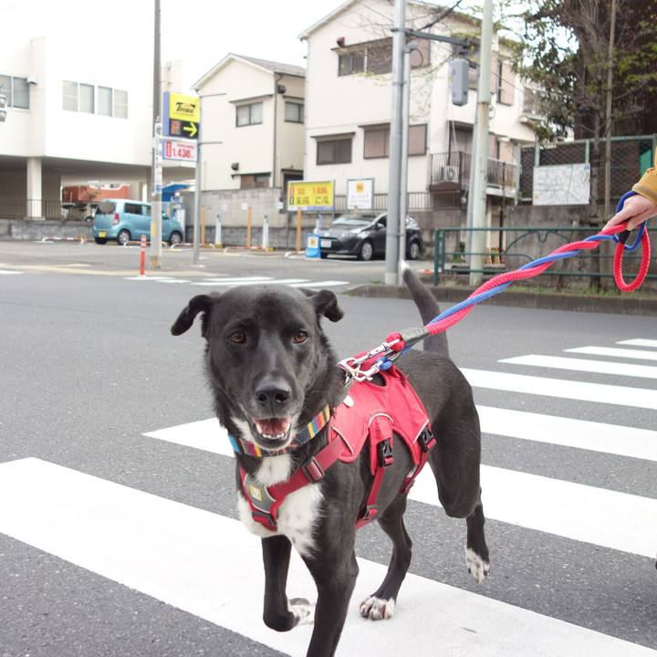 Ff2103a8 1024 4ebb 8e17 d066a50371f3 1586048058123