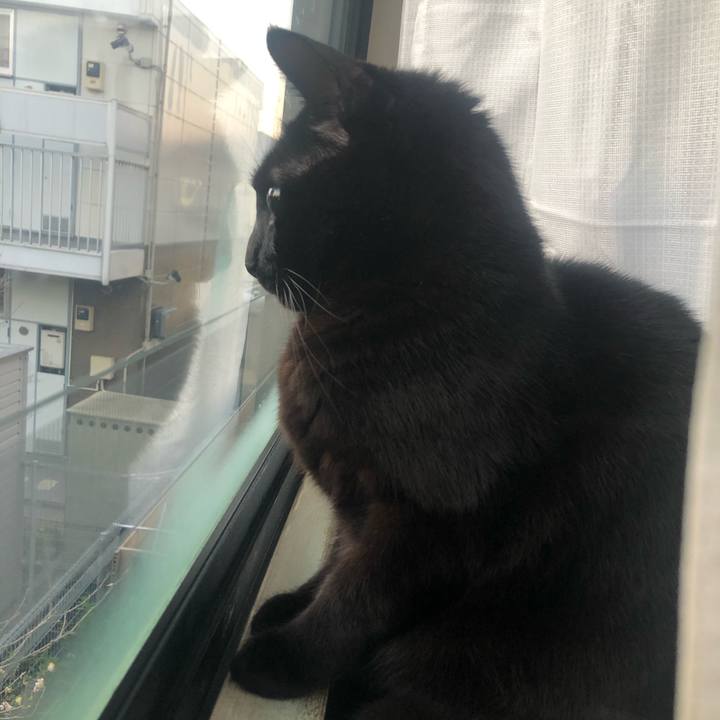 Ff212228 92a9 415e 90ac e58ab33a4442 1607296906289