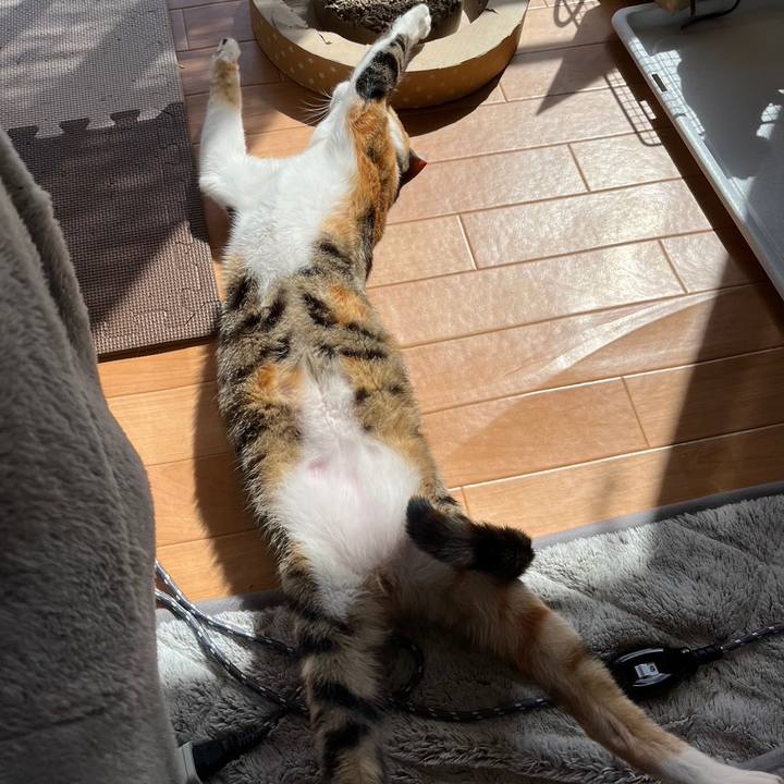 Ff21354a 90e2 475f a82f 50a6d2b8294c 1677815784497