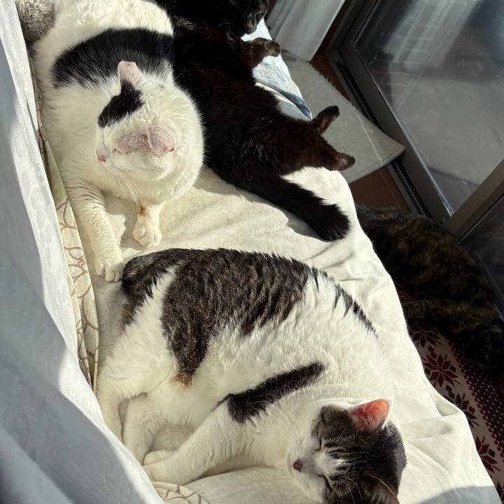 Ff213e54 c477 4d99 b3e4 1c290923d1a7 1771830184151