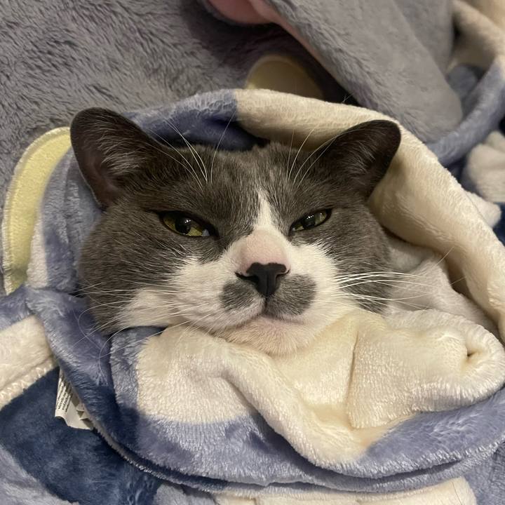 Ff21410b c37d 48c5 ac36 4800b859bcb8 1705224927745