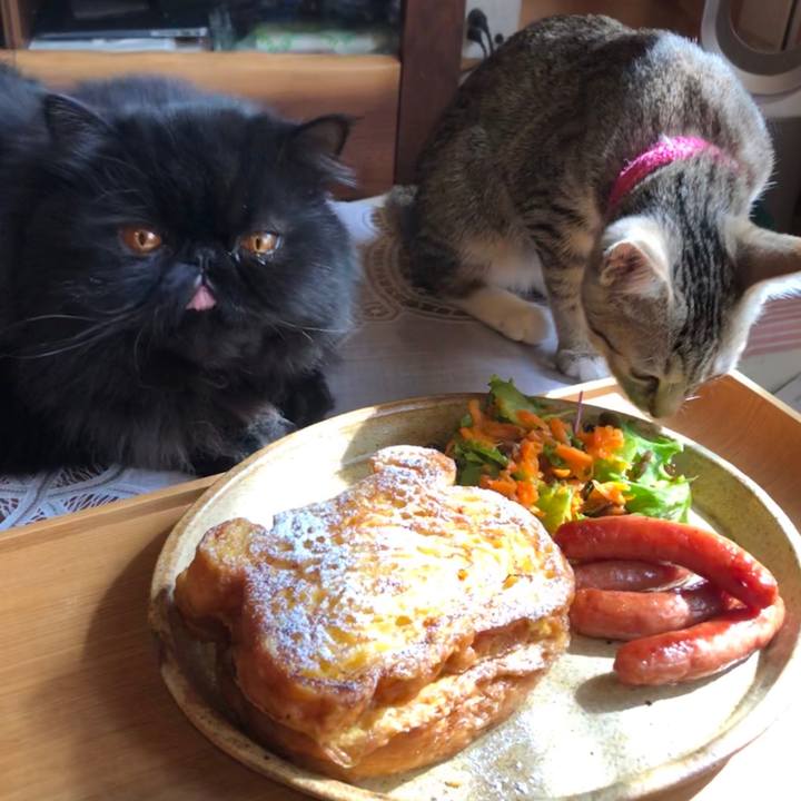 Ff214c81 b79a 463d b2cd d889e8bcd3c4 1550371221160