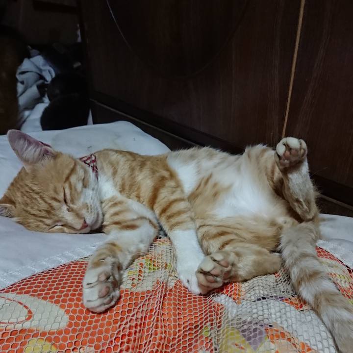 Ff219832 5bf3 447d 9e96 6a59afac01da 1562332052691