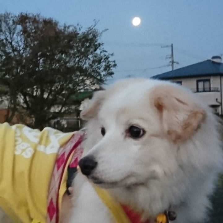 Ff219b9a 27dd 4c5c 89b0 b05408a03089 1637361127802