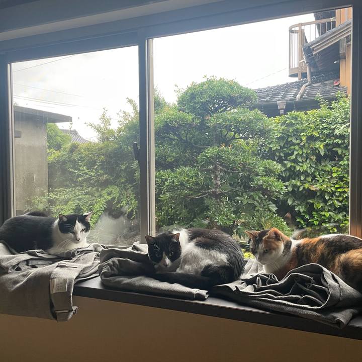 Ff220bdc 01d4 4632 b42e 28a250f209c7 1718974495247