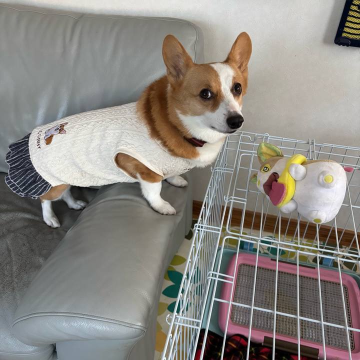 Ff2227da 8b4f 4991 bee2 dc6a4eeff60f 1763593094363