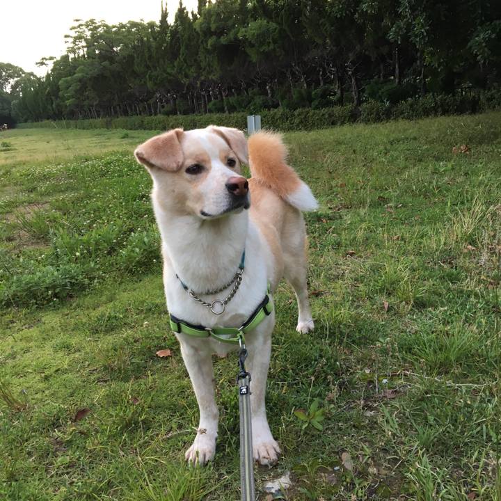 Ff222ba0 b46c 4088 9d37 b651d93133b5 1529849311005