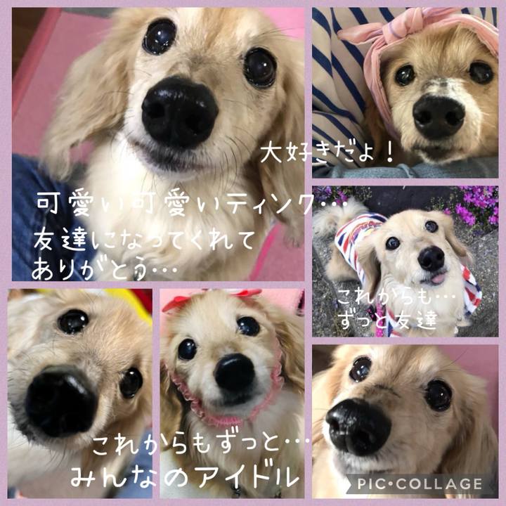 Ff2288e5 e9d4 4a12 bd0c ef50da7cf02e 1718670308376