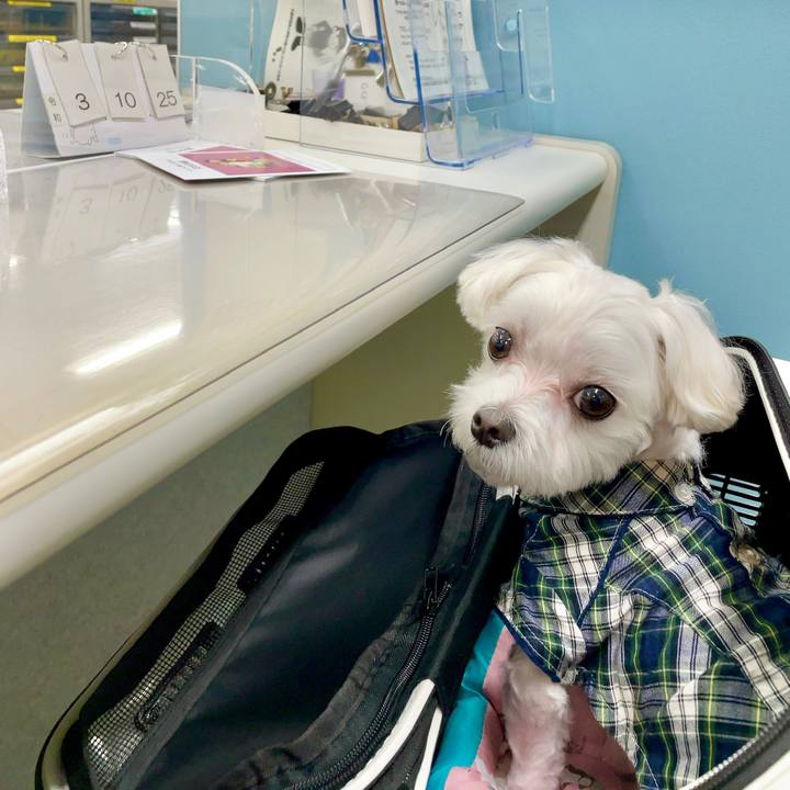 Ff229b47 17fa 4de4 b35f 90d0e942100f 1635148098216