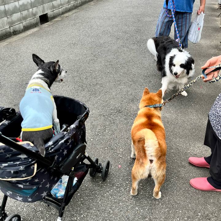 Ff22cd23 b180 452e 81a1 c9fce6252f01 1657928209295