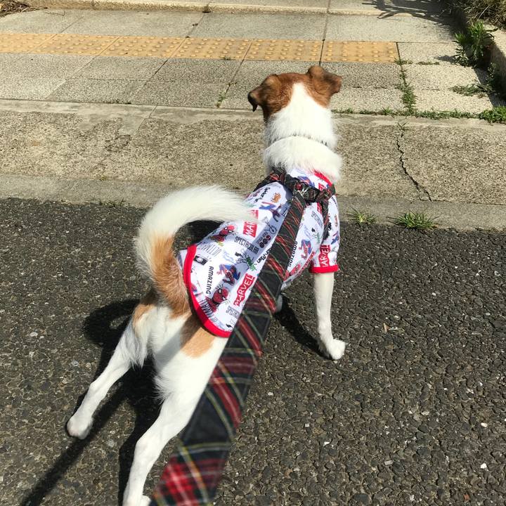 Ff22f7f2 0a11 4b9a 8f2c 4abf8a9eff2b 1526438714456