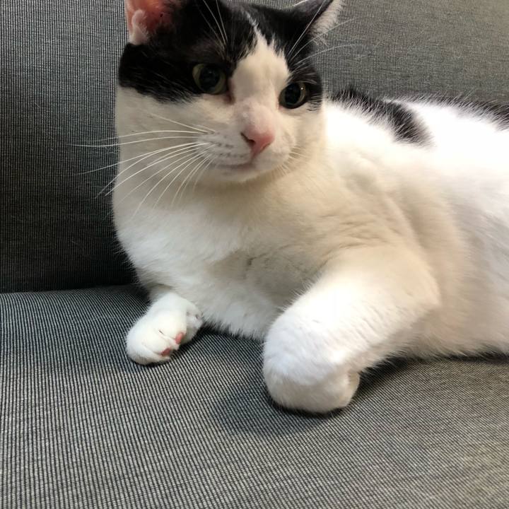 Ff230ae7 112a 48f1 86ce c02c9bf8a41e 1549292043307